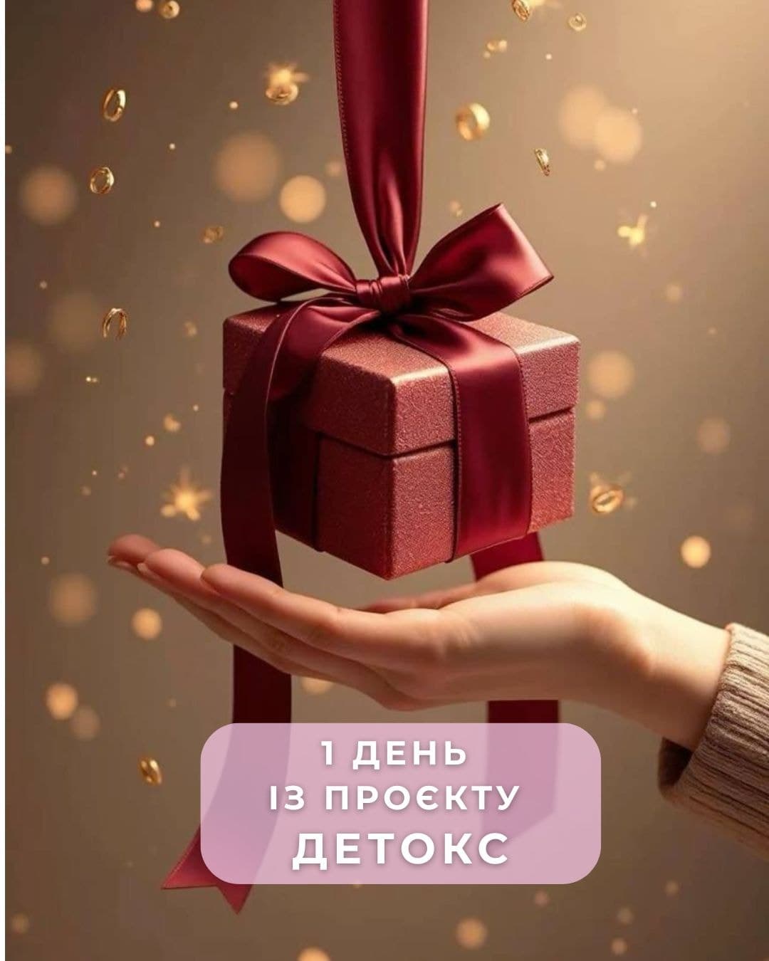 Проєкт Detox 1 день product image